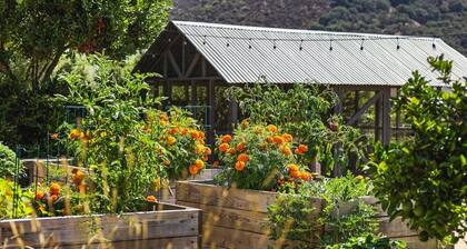 Flora Farm Cottage — Refurbished 1905 Farmhouse on 3.8 Private Acres | Hot Tub, Iconic Outdoor Shower, Fresh Eggs & Heirloom Gardens | Minutes to Pismo Beach, Arroyo Grande Village & Edna Valley Wine Country