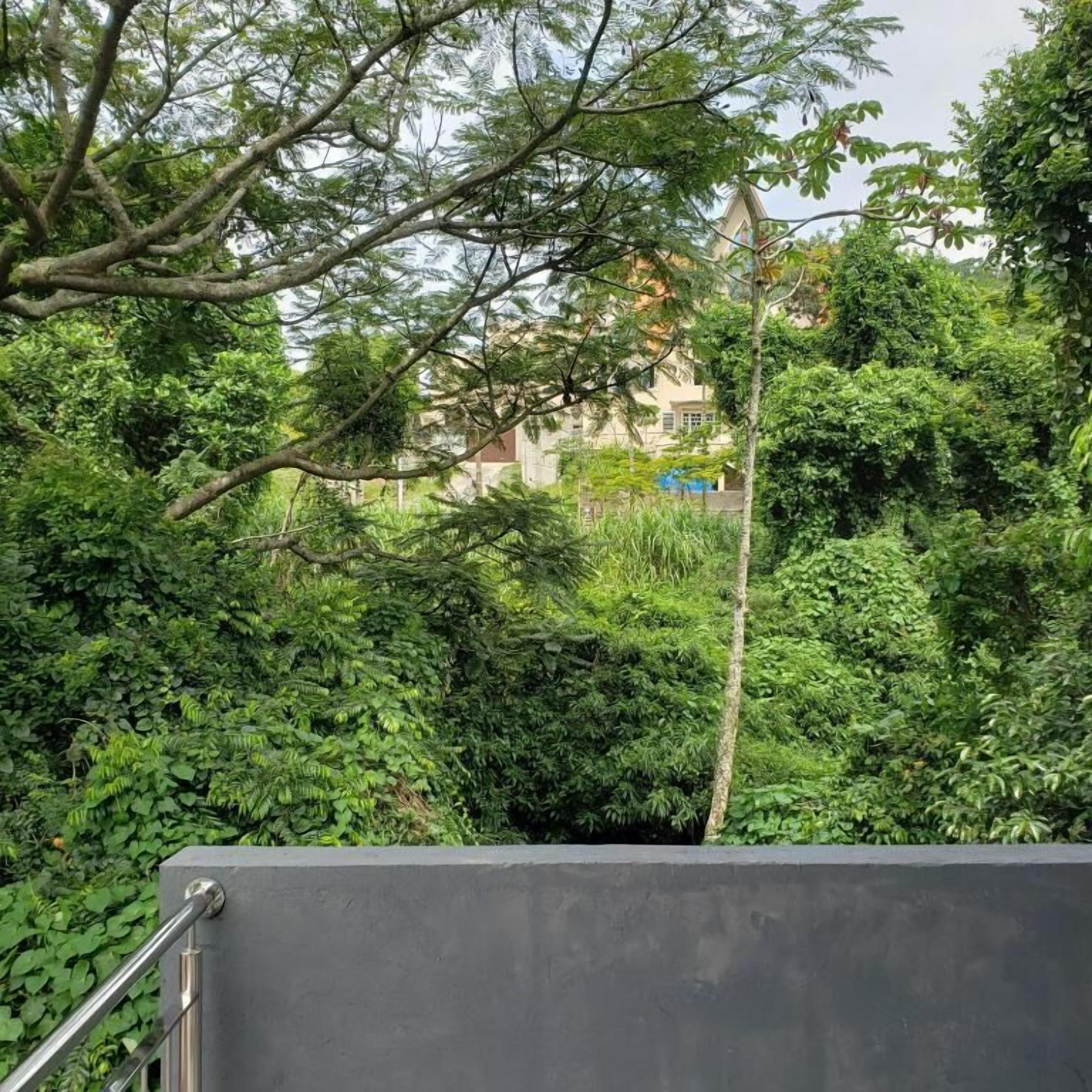 Área da propriedade
