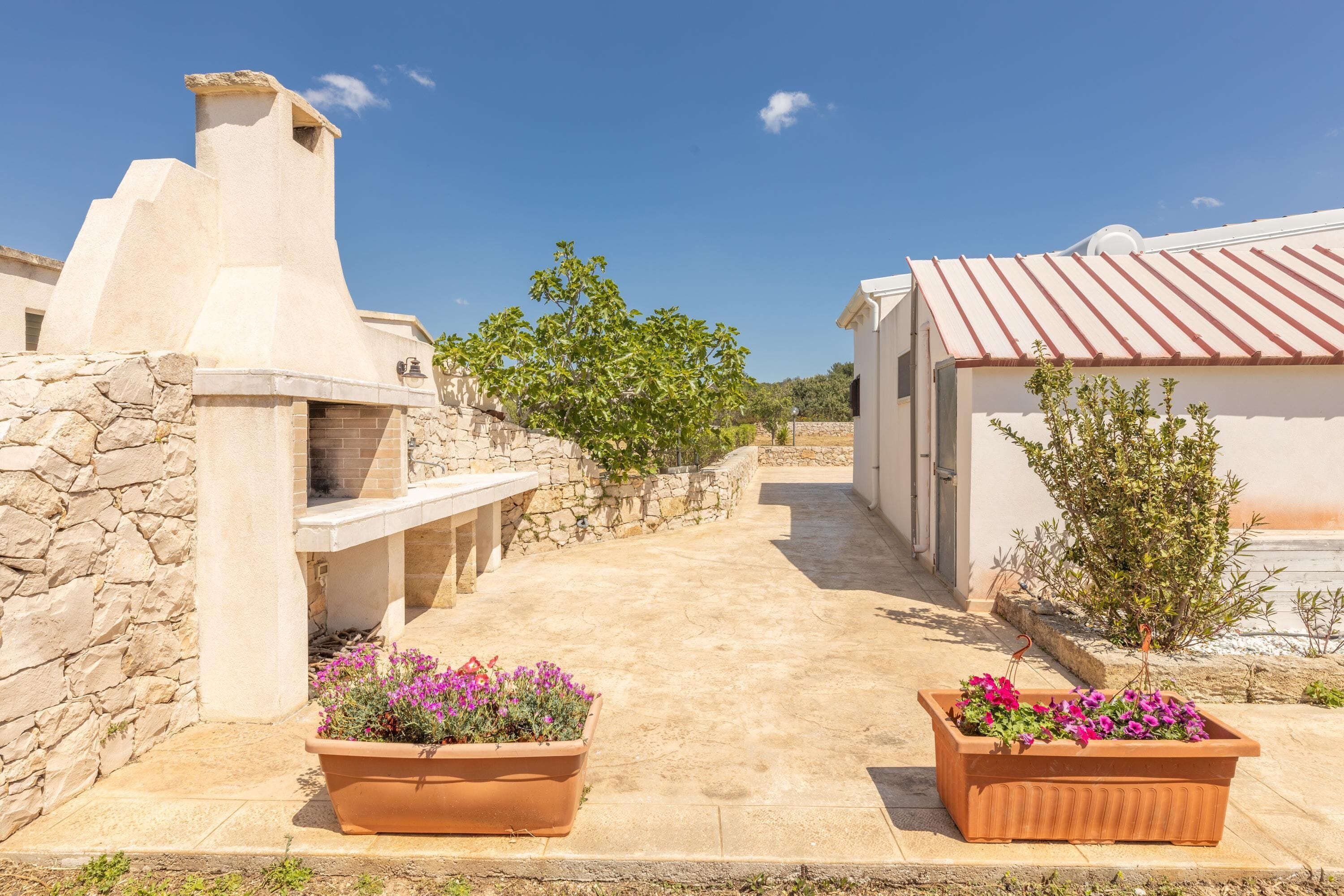 Terraza o patio