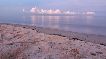 A beach with a sandy shore and calm water reflecting clouds.