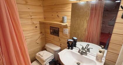 Adorable 2-bedroom/loft cabin with AC in charming Enoree on the river