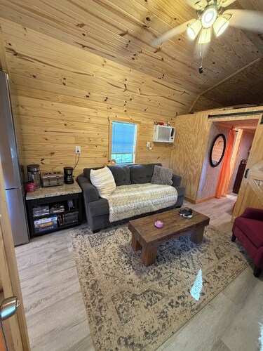 Adorable 2-bedroom/loft cabin with AC in charming Enoree on the river