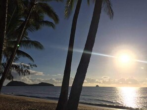 Beach - Drift into Paradise: Exceptional Resort Living (Palm Cove)