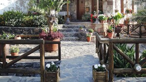 A stone building with a wooden porch, potted plants, and a stone staircase leading to the entrance. - Holiday Home in Vera de Erques (Guia de Isora)
