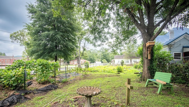Un jardín con un bebedero para pájaros, una banca y un árbol.