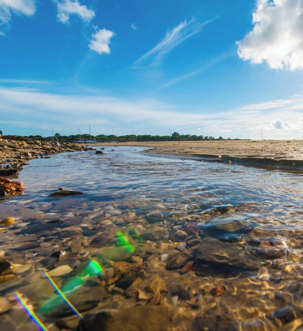 Ein Strand mit blauem Himmel, ruhigem Wasser und Bäumen in der Ferne.
