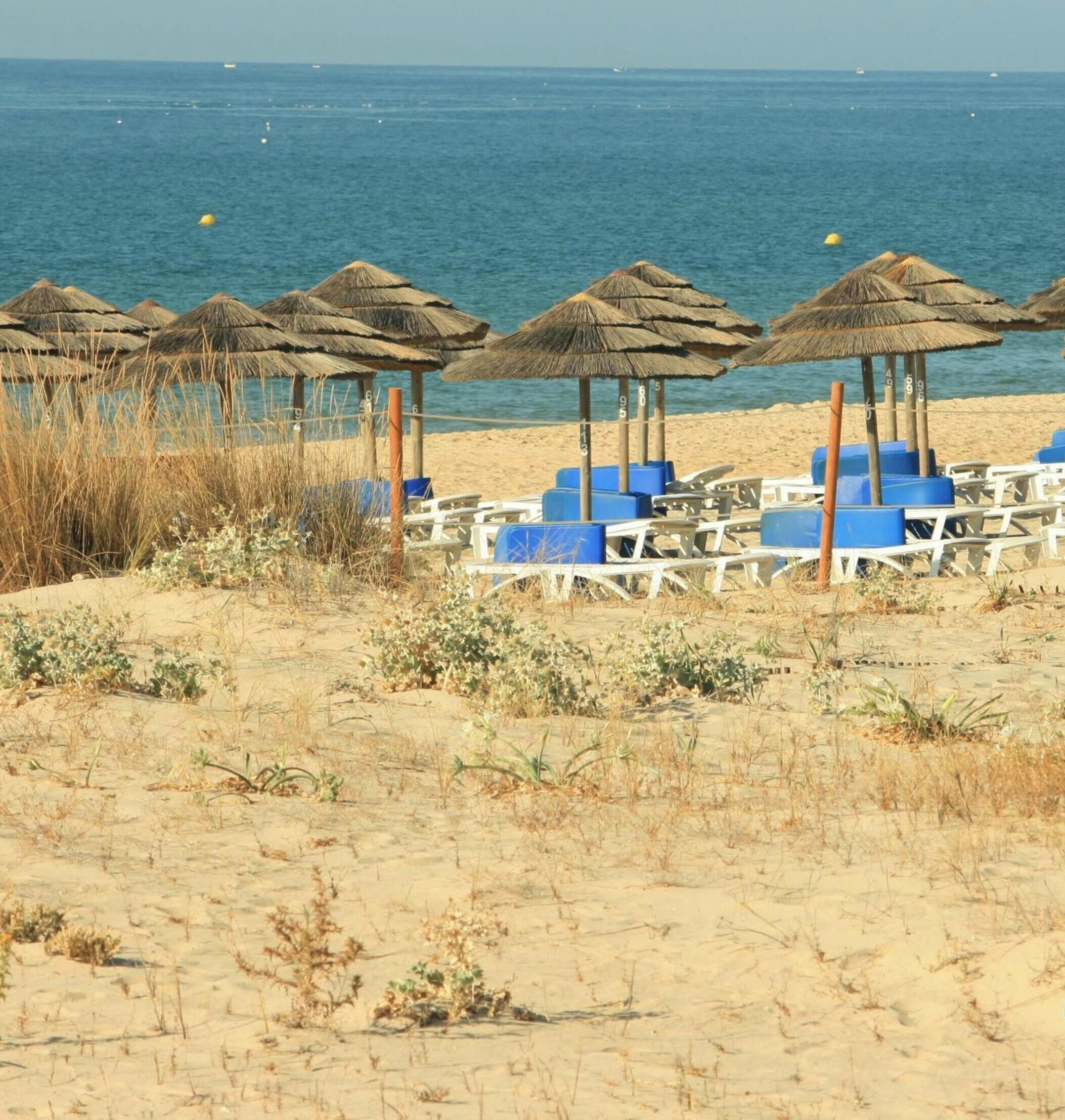 Playa