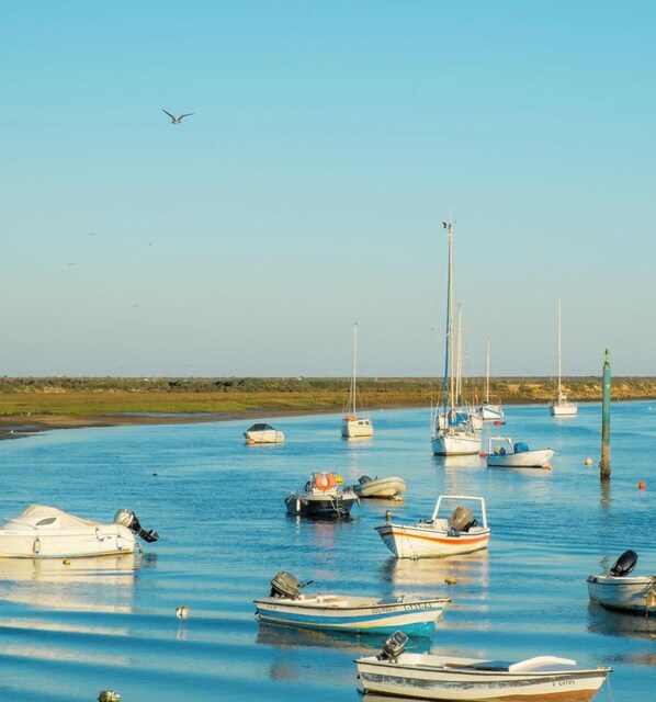 Una masa de agua tranquila con varias embarcaciones fondeadas, cielo despejado y una costa distante.