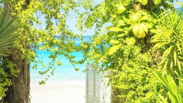 Un sentier qui mène à une plage, bordée de chaque côté d’une végétation luxuriante.