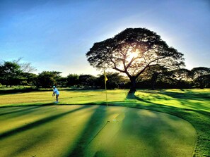 Golf