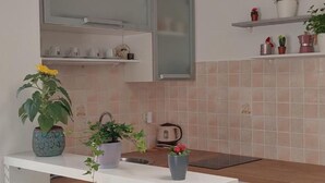 A kitchen with white cabinets, a countertop, and a backsplash. There are potted plants on the counter and shelves above. - Boutique Studio Pula (Pula)