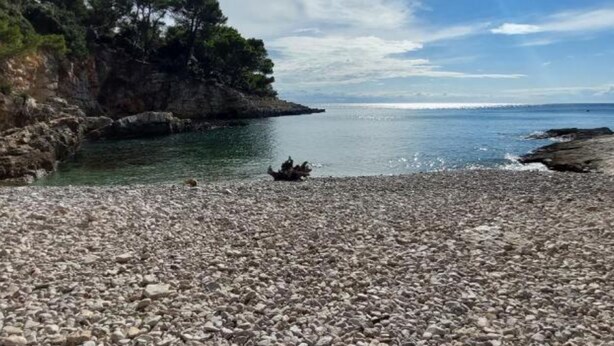A pebbled beach with rocky cliffs and trees. - Boutique Studio Pula (Pula)