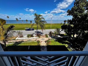 Property grounds - Cozy 3BR Double Gallery Bayfront Cottage in Magical Old SE St. Petersburg (St. Petersburg)