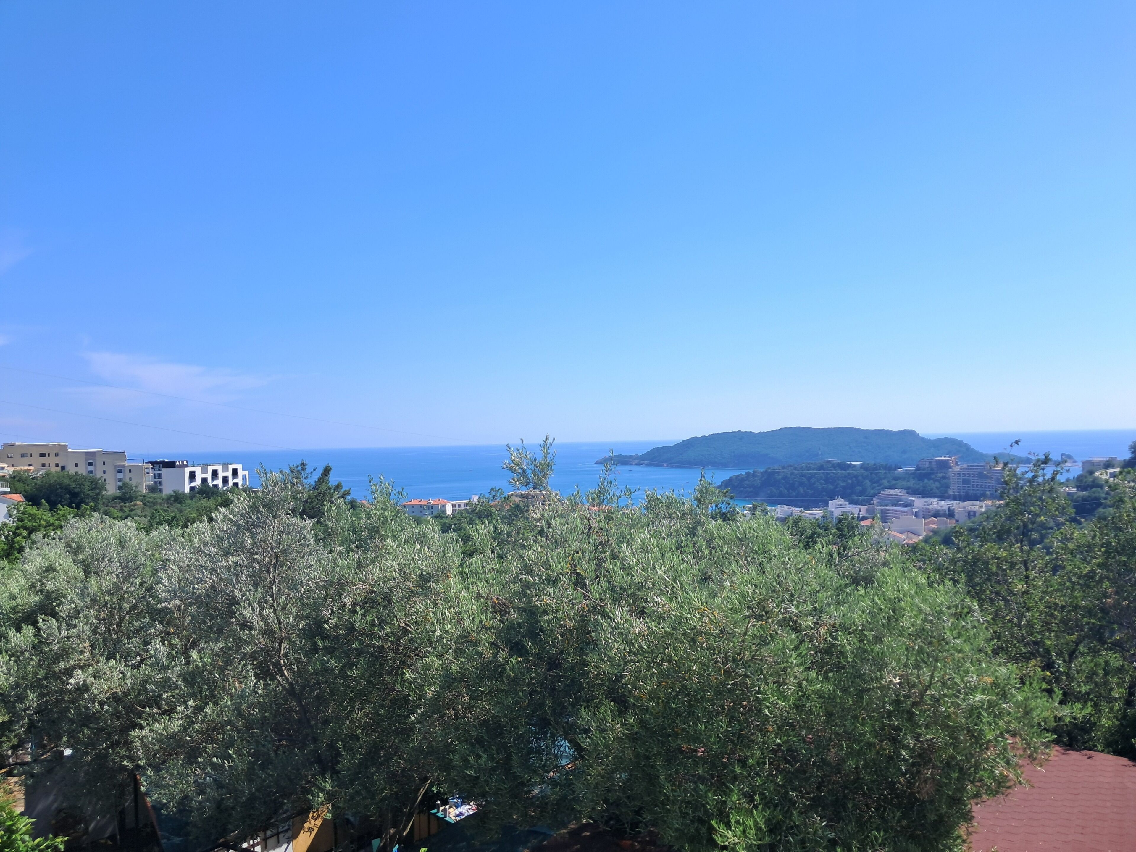 A coastal view with buildings, trees, and a distant island.
