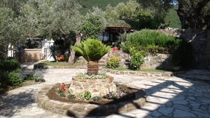 Ein Kiesweg führt zu einem zentralen Garten mit einer Palme, umgeben von verschiedenen Pflanzen und Blumen.