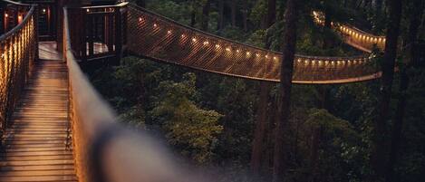 Un puente colgante de madera en un área boscosa, con barandales e iluminación.