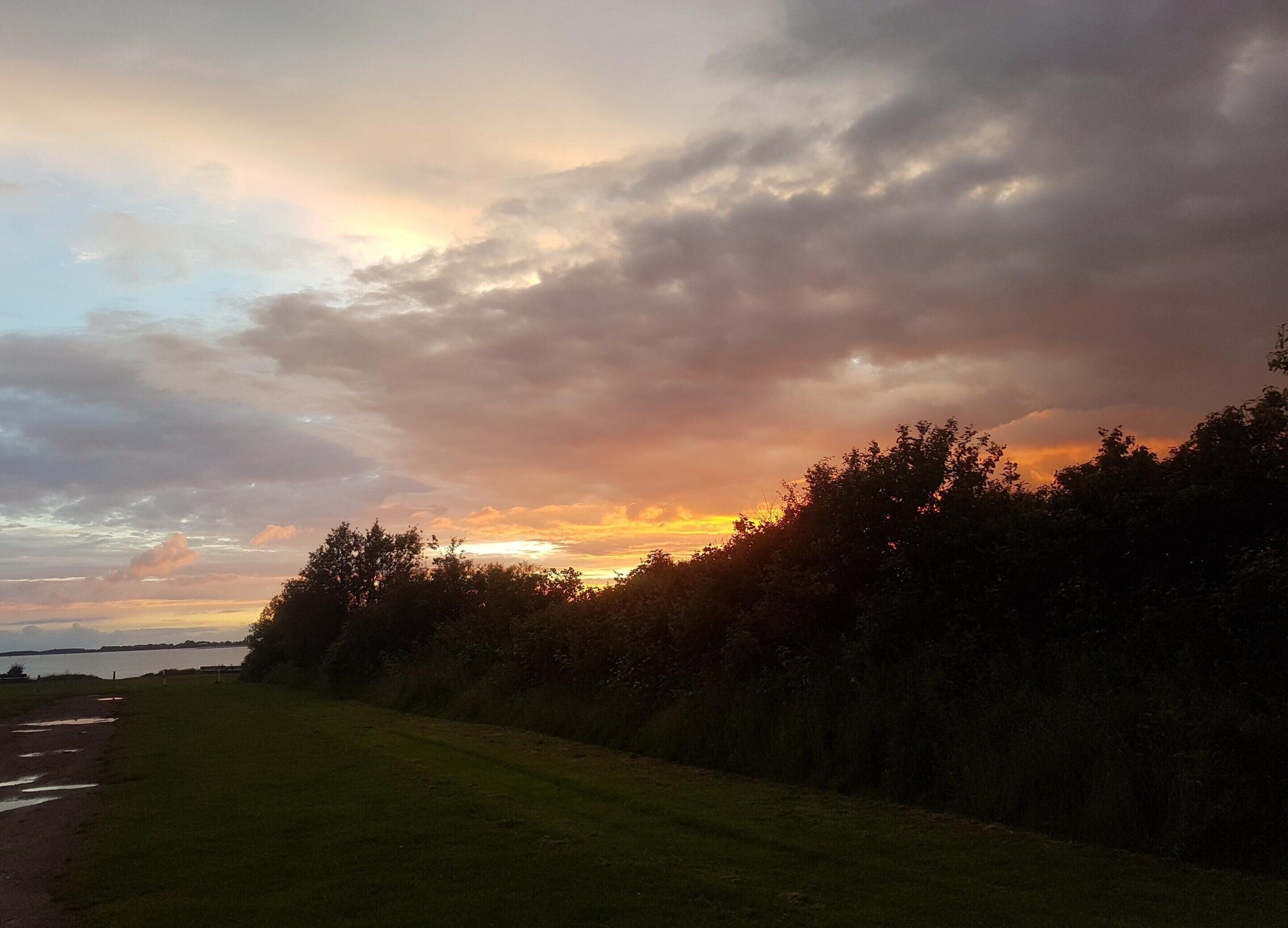 Un coucher de soleil sur un champ herbeux, avec des arbres au premier plan et une étendue d’eau à l’horizon.