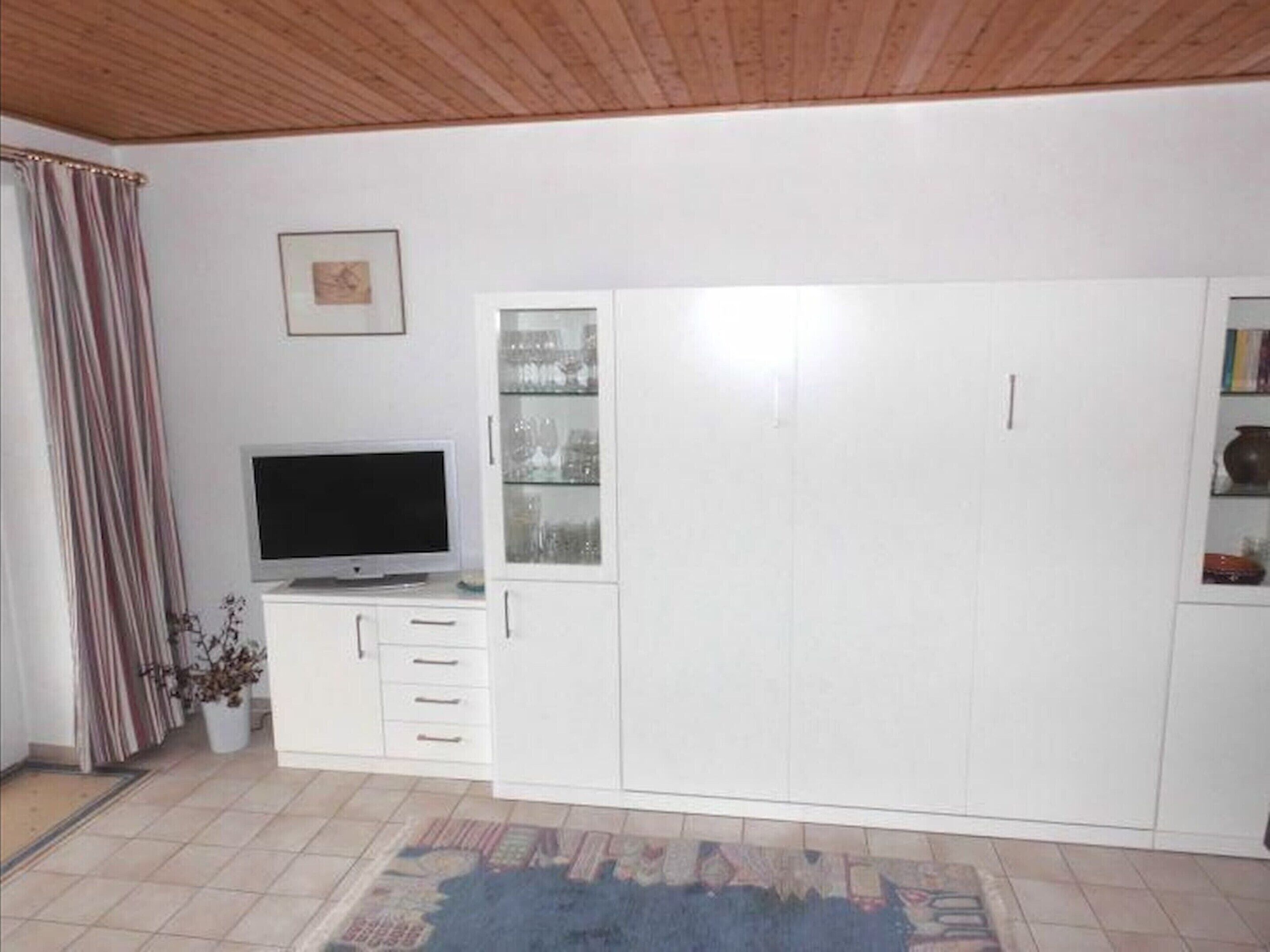 A room with a television on a cabinet, a large wardrobe, a framed picture on the wall, and a potted plant.