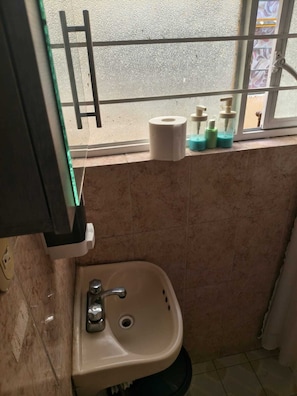 Shower, towels, soap, toilet paper - Rincon Hortensia apartments and loft - Loft de 1 habitacion (Oaxaca de Juárez)