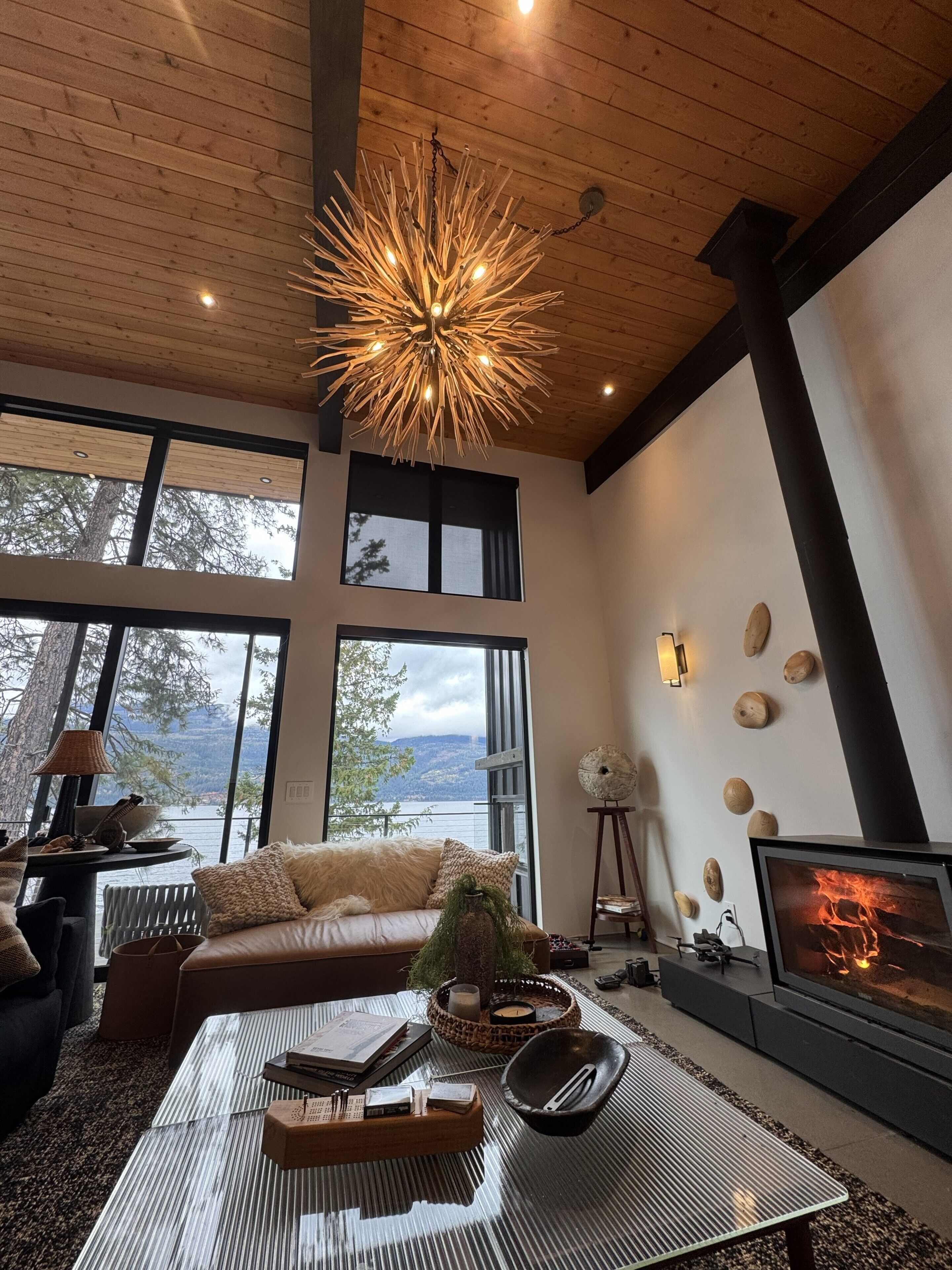Smart TV, fireplace, books, printers