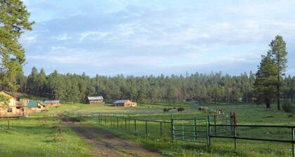Beaver Creek Guest Ranch is your scenic getaway.
