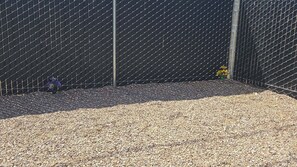 Property grounds - NEW Casita! 2-bedroom next to river Rotary Park (Bullhead City)
