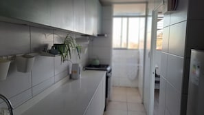 Eine moderne Küche mit weißen Schränken, einer Arbeitsplatte, einer Pflanze und einem Fenster.