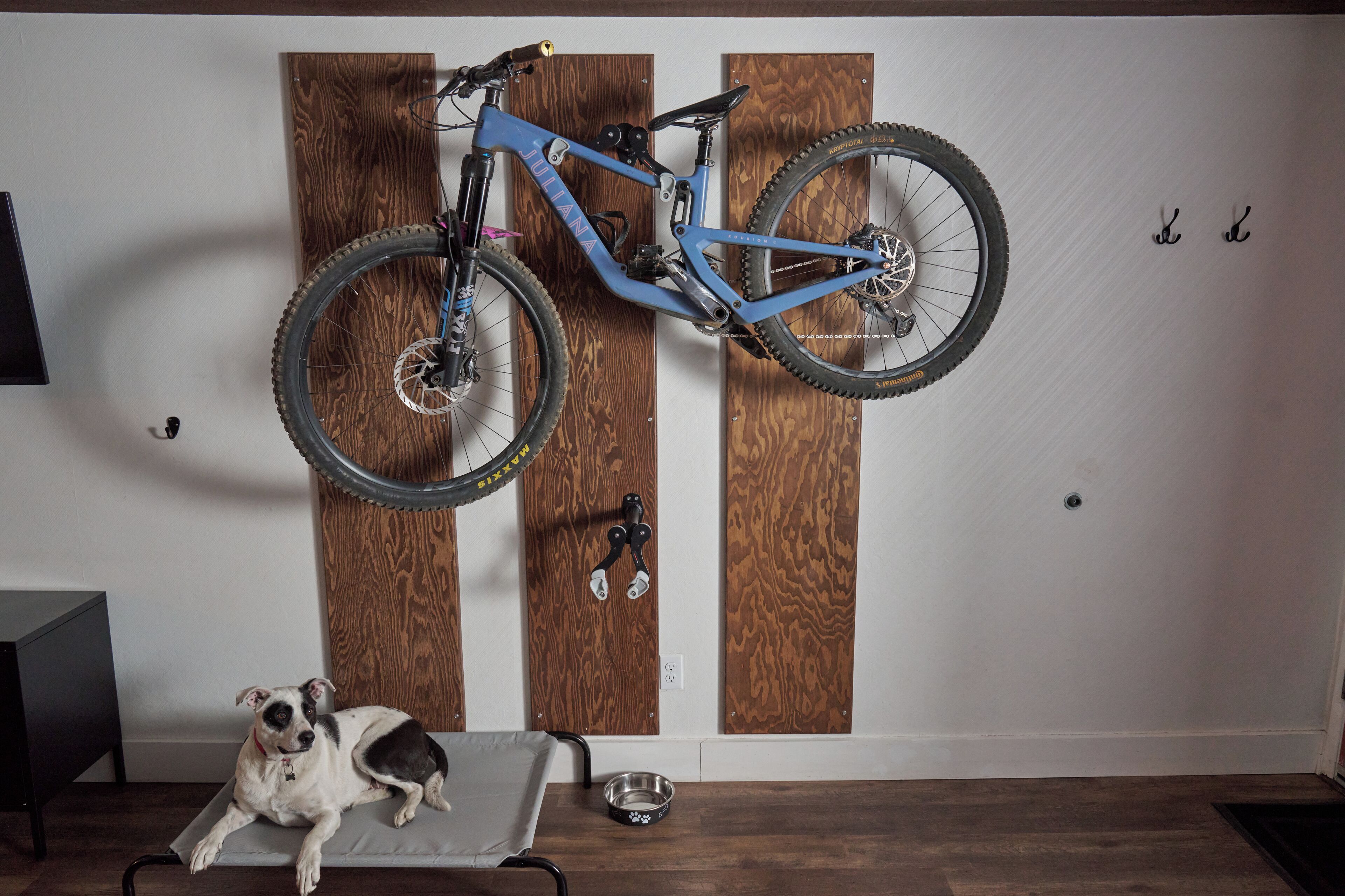A room with a wooden wall, a blue bicycle mounted on it, a dog on a mat, and a metal bowl.