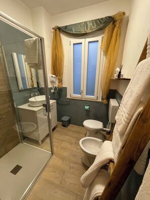 Shower, hair dryer, bidet, towels