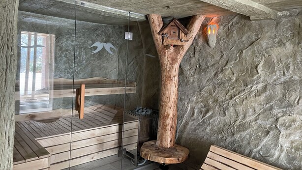 Een sauna met houten banken, een glazen scheiding en een houten constructie die op een huis met schoorsteen lijkt.