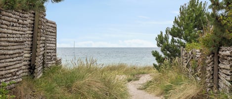 Ranta