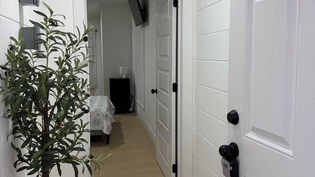A narrow hallway with white doors, a potted plant, and a bed in the distance. - Tampa Cozy Spot (Tampa)