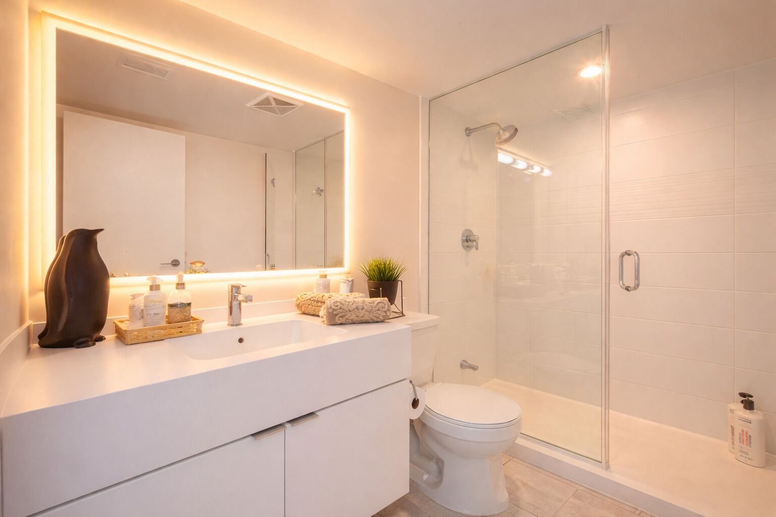 Serviettes fournies, savon, papier toilette