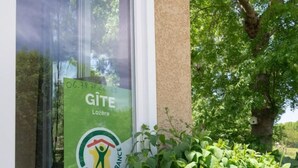 Une fenêtre avec une affiche indiquant « Gîte Lozère » et un arbuste vert à côté d’un bâtiment.