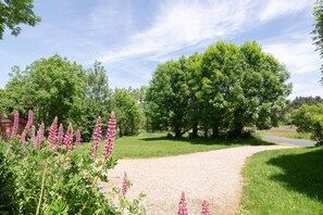 Property grounds - La Source du Cellier 4/6 persons (SAINT-JEAN-LA-FOUILLOUSE)