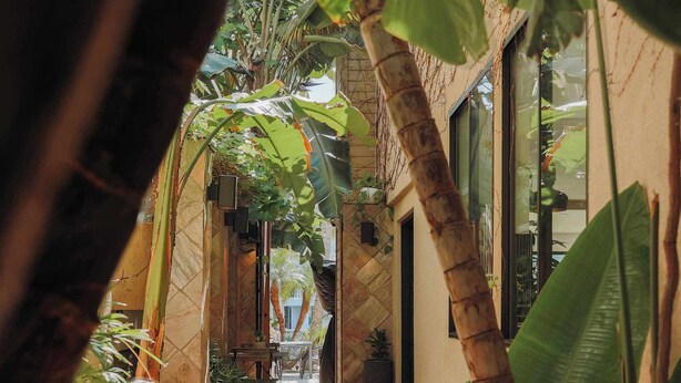 Un chemin menant à un bâtiment dont le sol est recouvert de carreaux, entouré de verdure et de plantes.