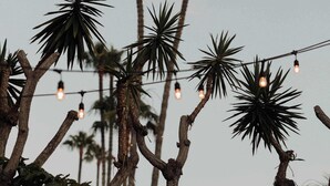 Guirlandes lumineuses, palmiers et un ciel dégagé.