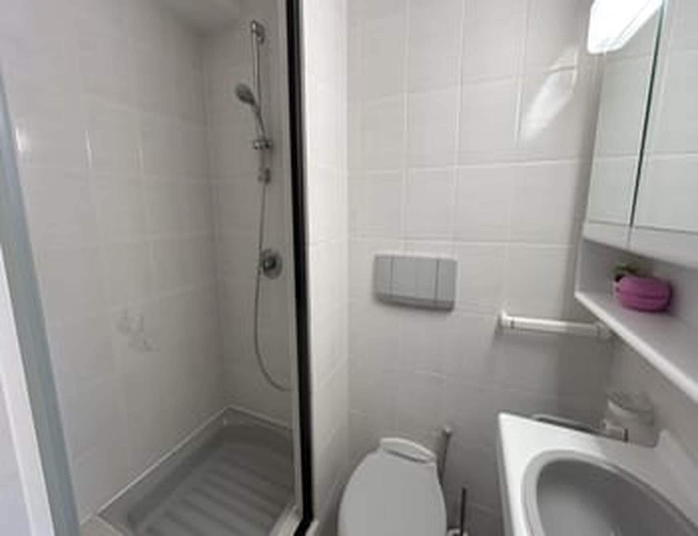 Een badkamer met een douche, toilet en spiegel.