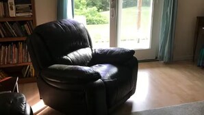 Een leren fauteuil in een kamer met een boekenkast, een deur die naar buiten leidt, en een vloerkleed.
