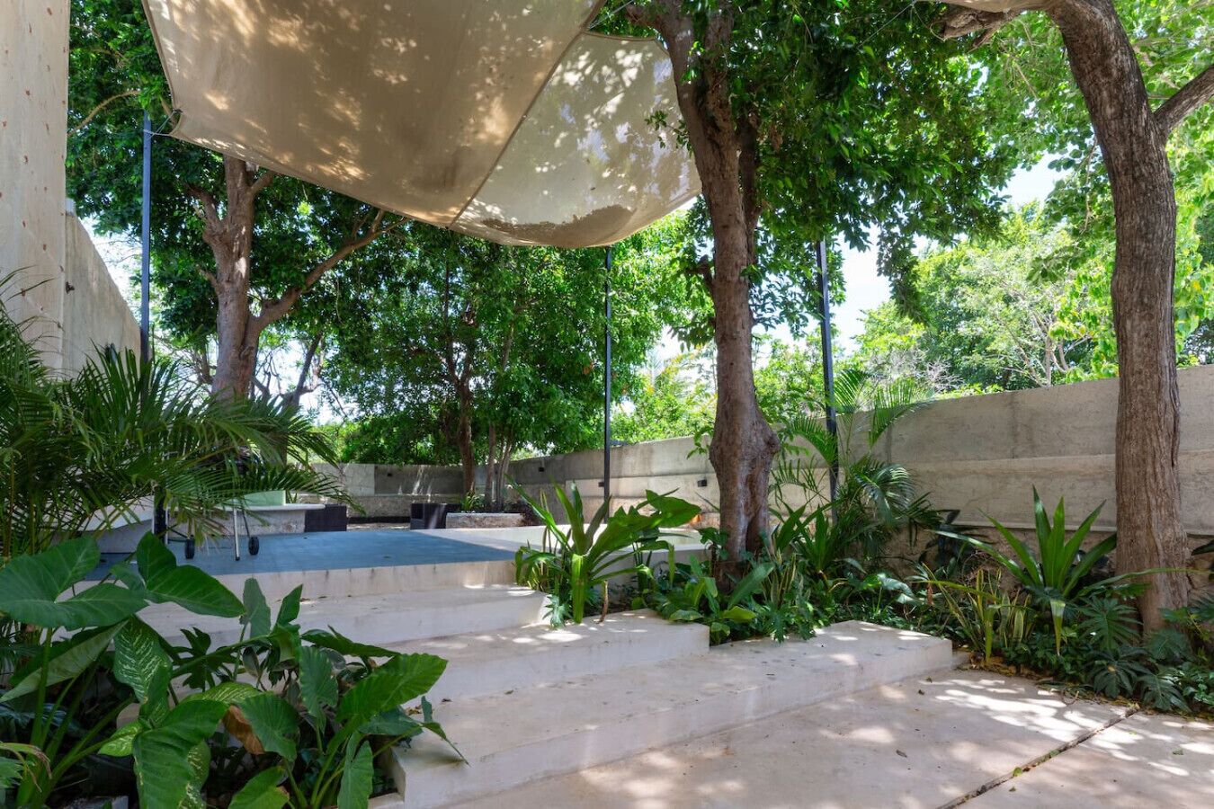 Um pátio com degraus, um muro de concreto e diversas plantas verdes.