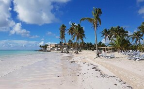 Ein Strand mit Palmen, Liegestühlen und blauem Himmel.
