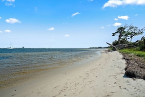Playa en los alrededores 