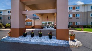 A hotel entrance with a covered walkway, potted plants, and a flag.