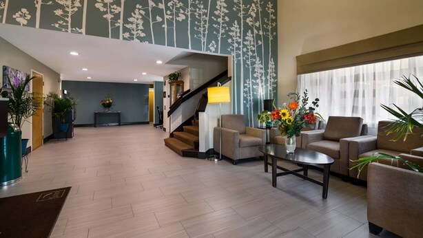 A spacious lobby with a staircase, seating area, and a wall with a tree pattern.