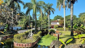 A tropical garden with a pond, palm trees, and a house with a red roof. - A paradise among mountains, 1 hour from Rio, for up to 60 people. (Guapimirim)