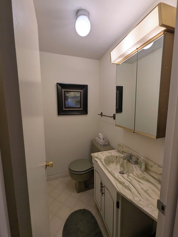A bathroom with a toilet, sink, mirror, framed picture, and a light fixture.