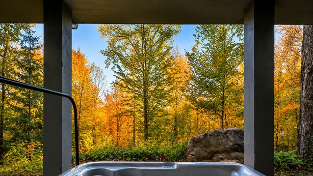 Un jacuzzi con vistas a árboles otoñales.