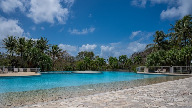 Una piscina blava i cristal·lina envoltada de palmeres i un solàrium de pedra.