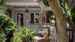Un jardí amb plantes en testos, una terrassa de fusta i un edifici amb una porta i finestres al fons.