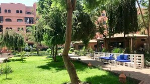 Un patio con césped, árboles, un área de descanso con cojines azules y un edificio al fondo.